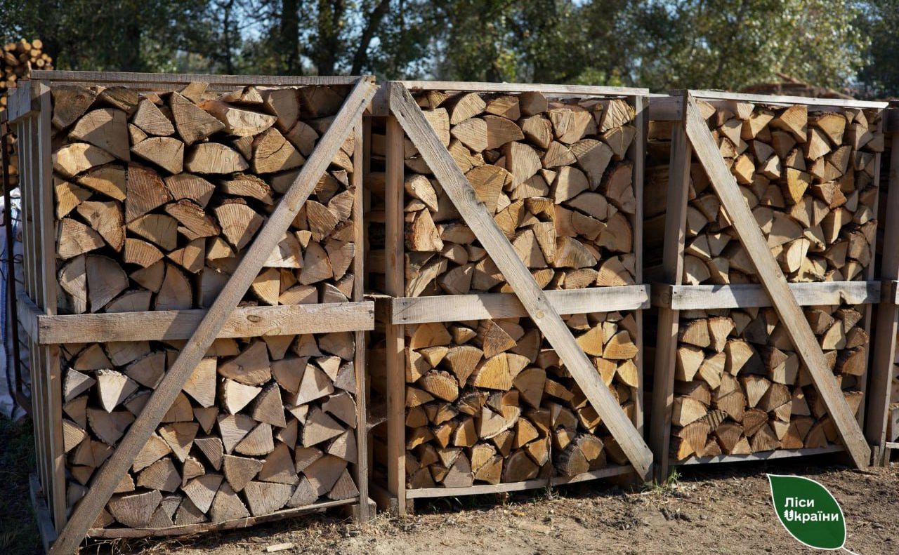 Лісівники радять: купуйте дрова на зиму з літа