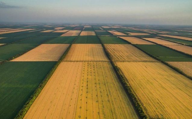 Полтавщина лідирує за обсягами придбаних угідь за три роки