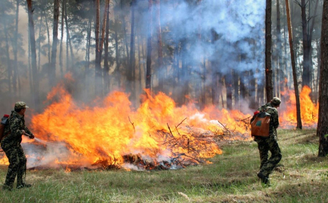 До кінця місяця на Полтавщині оголошено 5 клас пожежної небезпеки