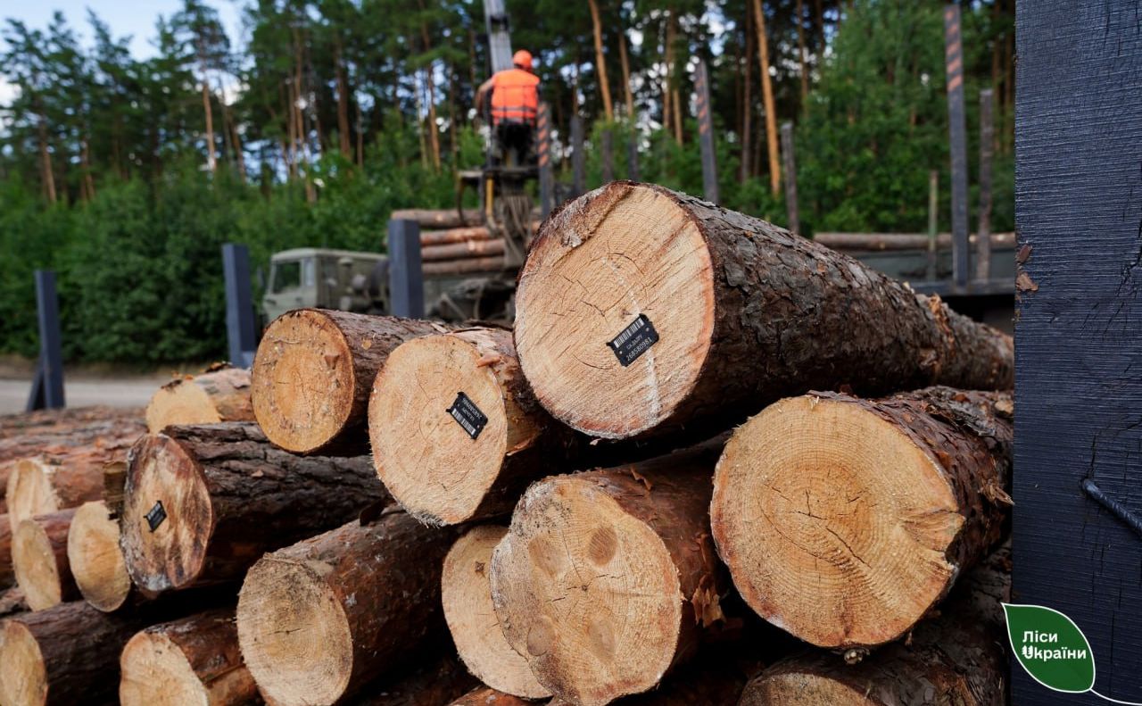 Лісівники Полтавщини продовжують забезпечувати військо деревиною