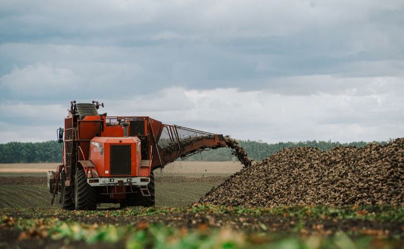 Аграрії Полтавщини вже намолотили 25 тисяч тонн кукурудзи