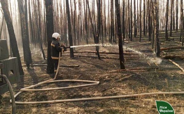 Лісівники-вогнеборці Полтавщини допомагають ліквідовувати лісові пожежі на Харківщині