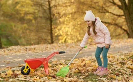 Золота осінь в саду й на городі: що слід встигнути до холодів