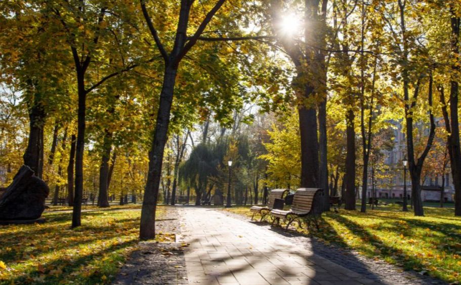 Вихідні будуть теплими й без дощів