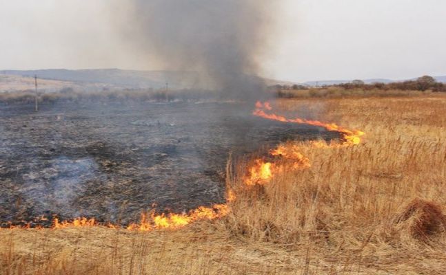 Учора у Решетилівській громаді знову горіла суха трава