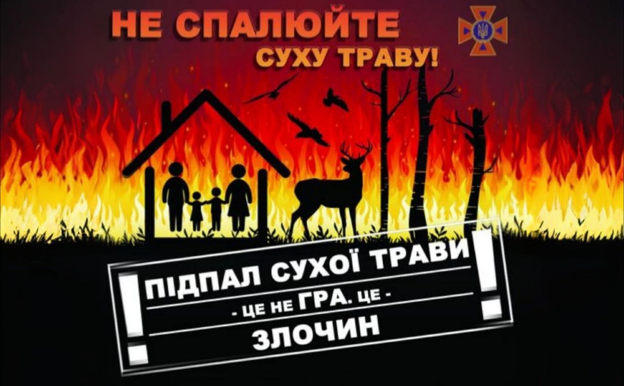 Спалювання сухої трави — одна з головних причин виникнення торфових пожеж