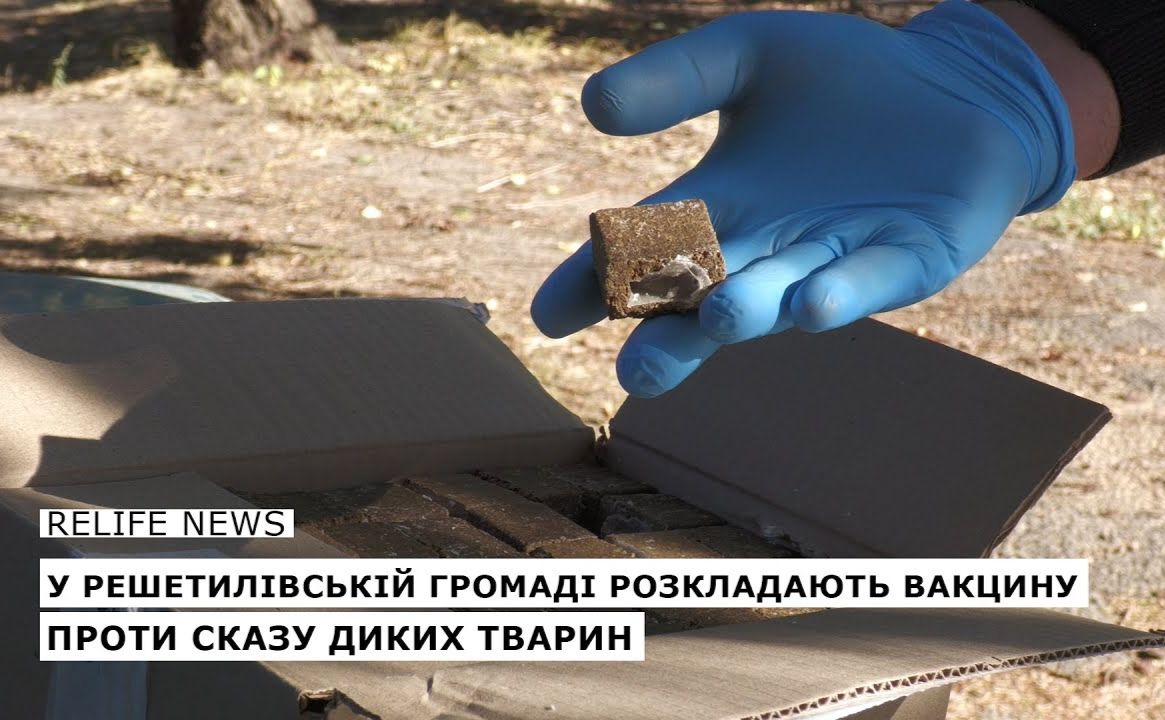 У Решетилівській громаді розкладають вакцину проти сказу диких тварин