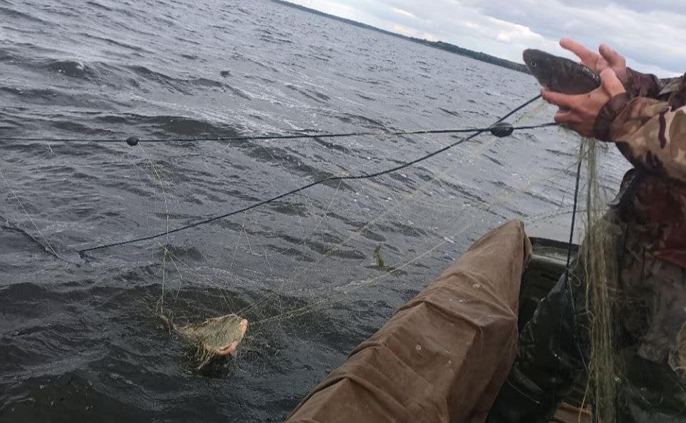 Із Кам’янського водосховища знову дістали браконьєрські сітки