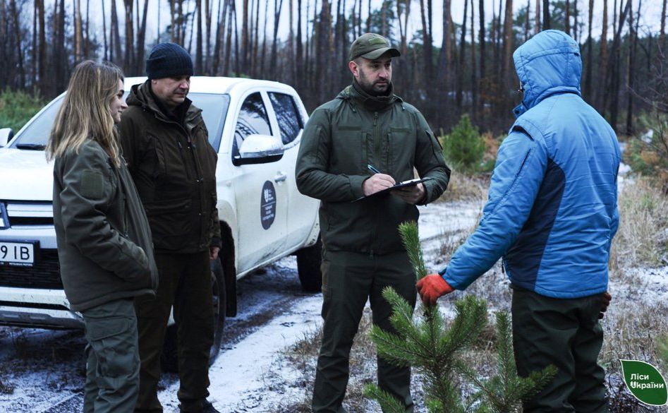 За незаконну вирубку ялинок в області вже склали 18 протоколів