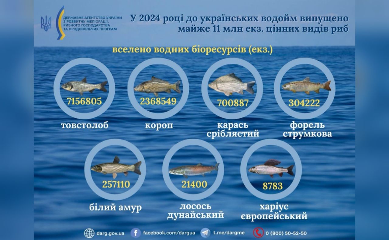 Минулого року у водойми України випустили майже 11 млн екземплярів цінних видів риби