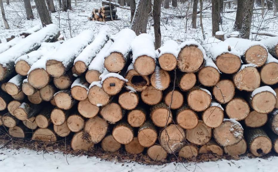 Лісові господарства області реалізовують дрова населенню та громадам