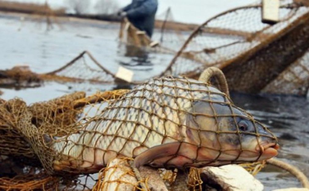 На Кам’янському водосховищі затримали двох браконьєрів