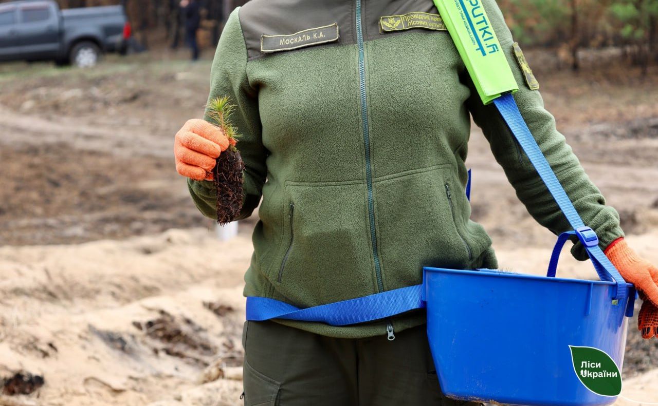 На Полтавщині фінішувала посадкова кампанія лісу