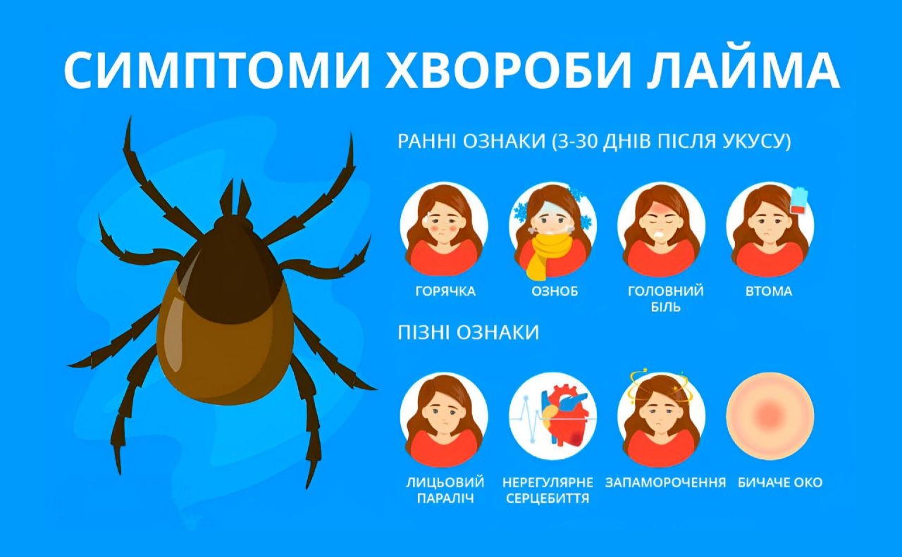Хвороба Лайма прогресує