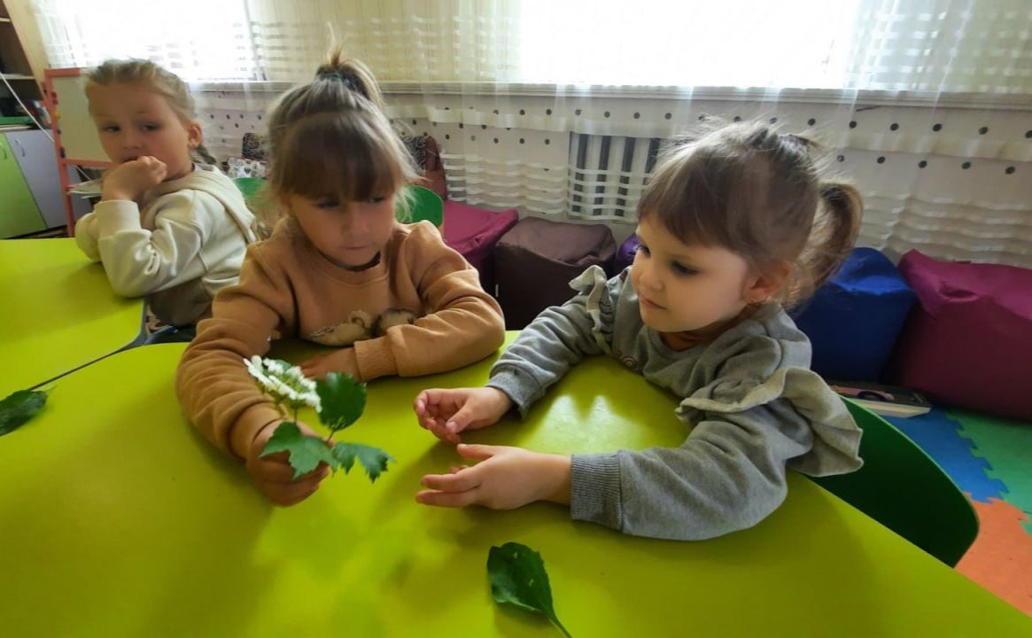 Вихованці ПОЕНЦУМ досліджують лікувальні властивості рослин