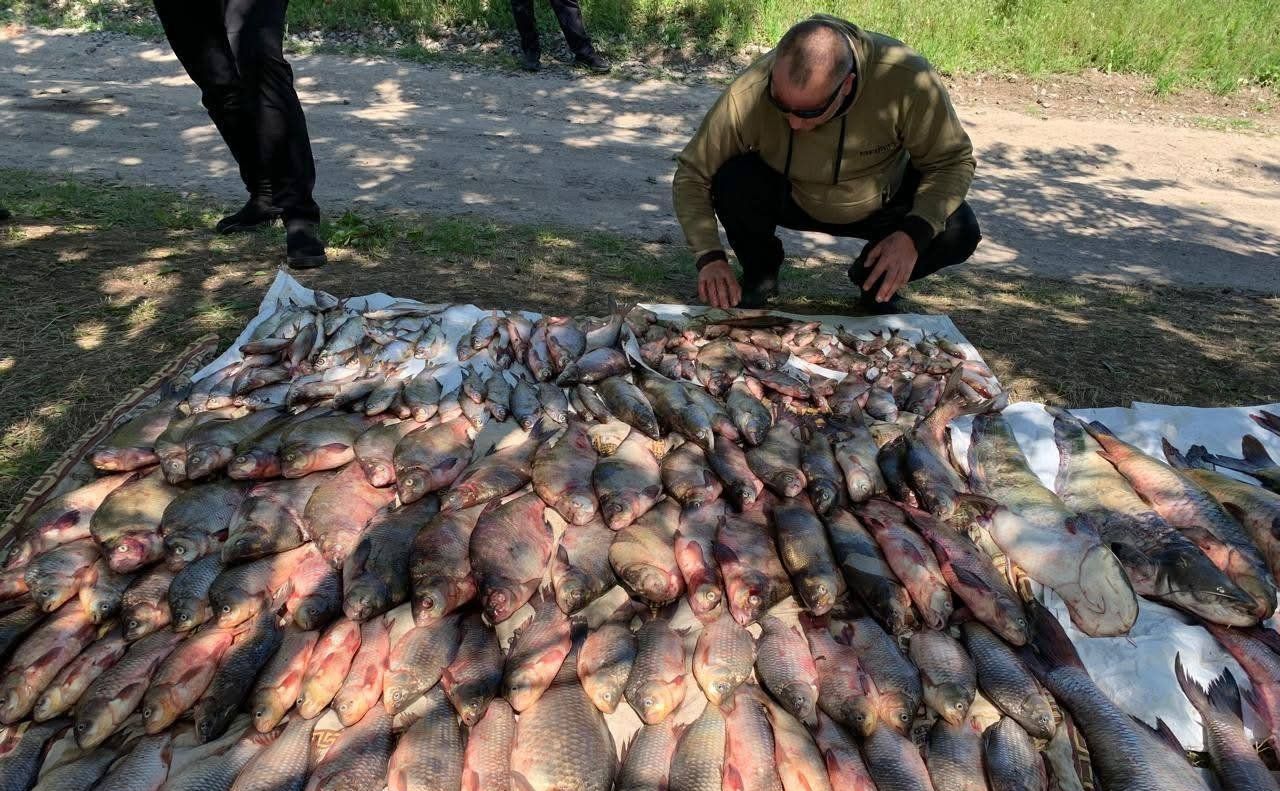 Повне авто риби: під Градизьком затримали водія із незаконно виловленою рибою