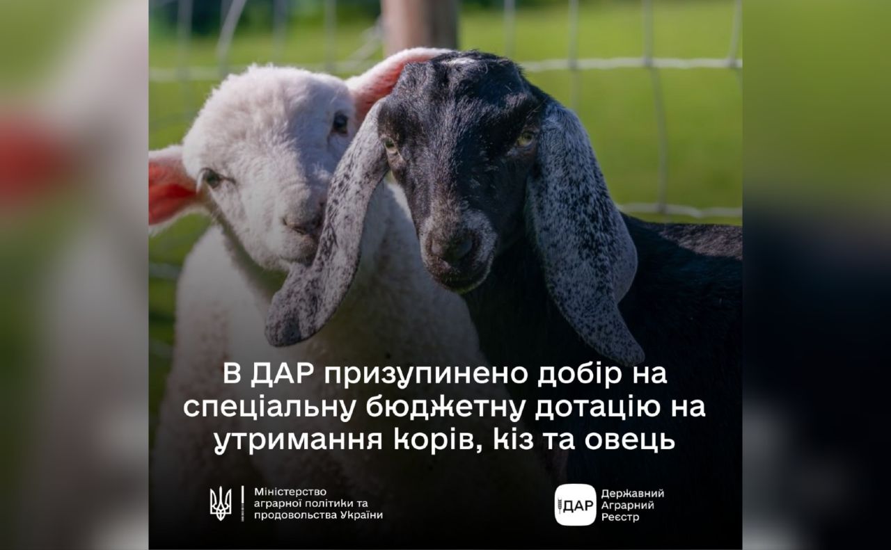 Призупинено подання заяв на допомогу для утримання поголів’я корів, кіз та овець