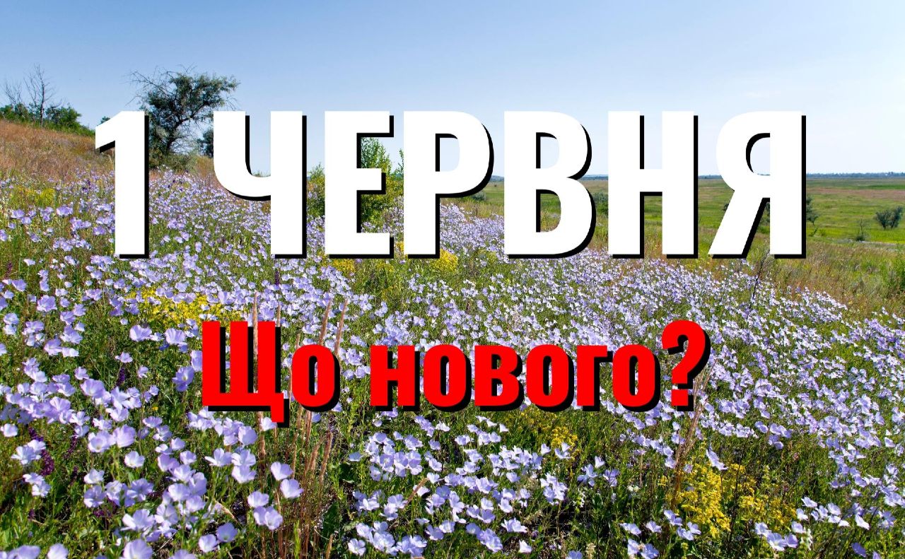 Нові ліміти на перекази, ВЛК, техогляд та послуги в Дії: що зміниться з 1 червня