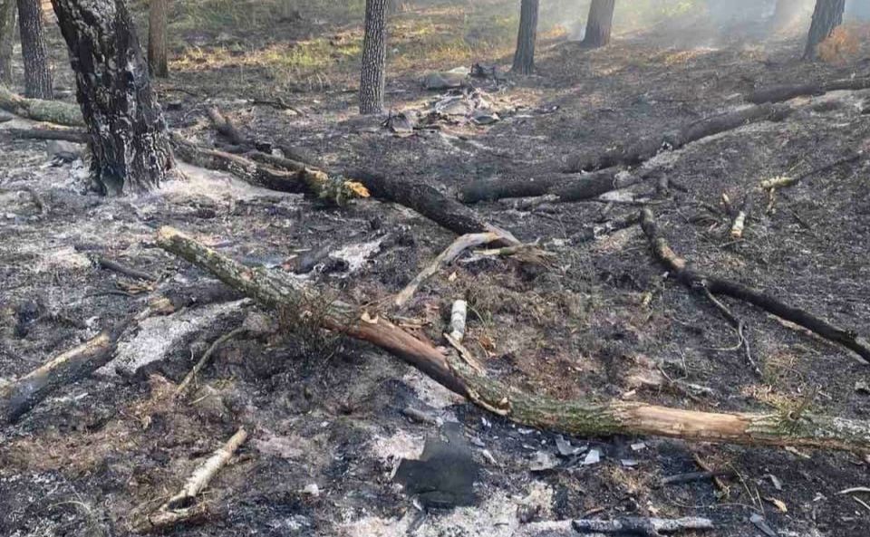 Після російських обстрілів лісівники Полтавщини загасили дві пожежі