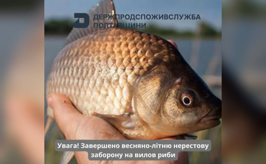 На Полтавщині завершилась нерестова заборона на вилов риби