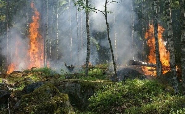 В області тримається високий рівень пожежної небезпеки