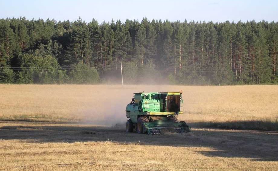 Українські аграрії вже зібрали майже 35 тис. тонн зерна нового врожаю