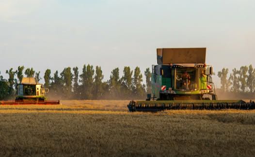 В Україні розпочалися жнива