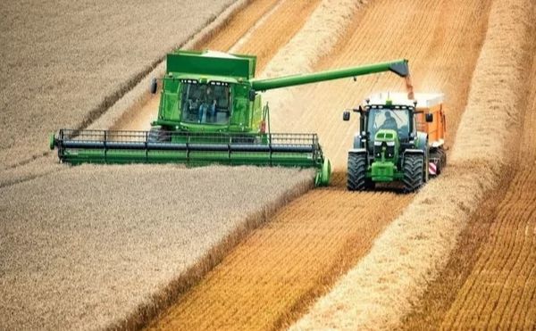 Українські аграрії наближаються до збору першого мільйона тонн зерна нового врожаю