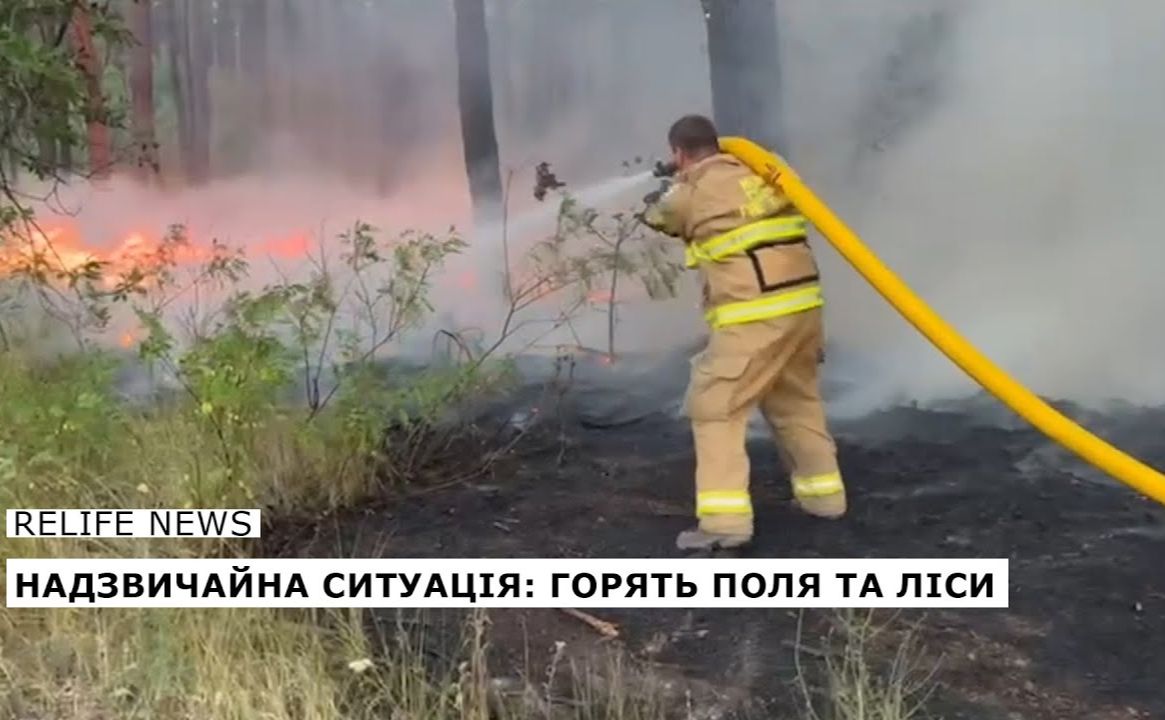 Надзвичайна ситуація: горять поля та ліси