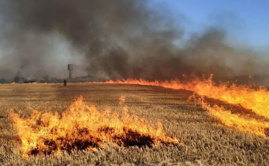 У лісах Полтавщини зберігається найвищий рівень пожежної небезпеки