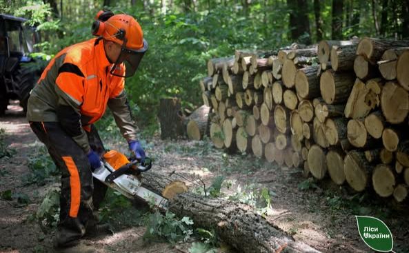 Лісівники закликають громадян купувати дрова влітку