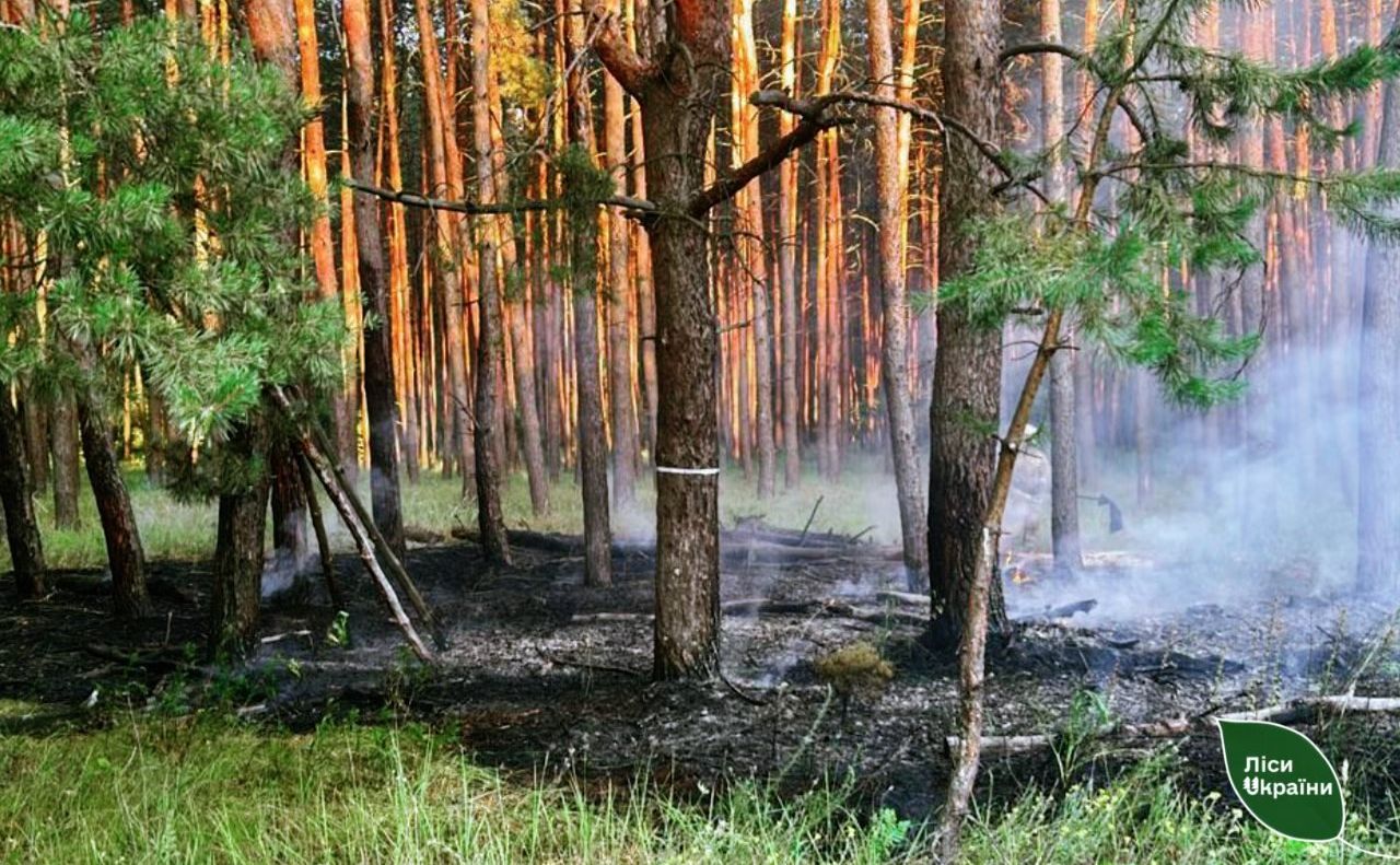 Внаслідок російських обстрілів на Полтавщині цьогоріч вже сталися 7 лісових пожеж