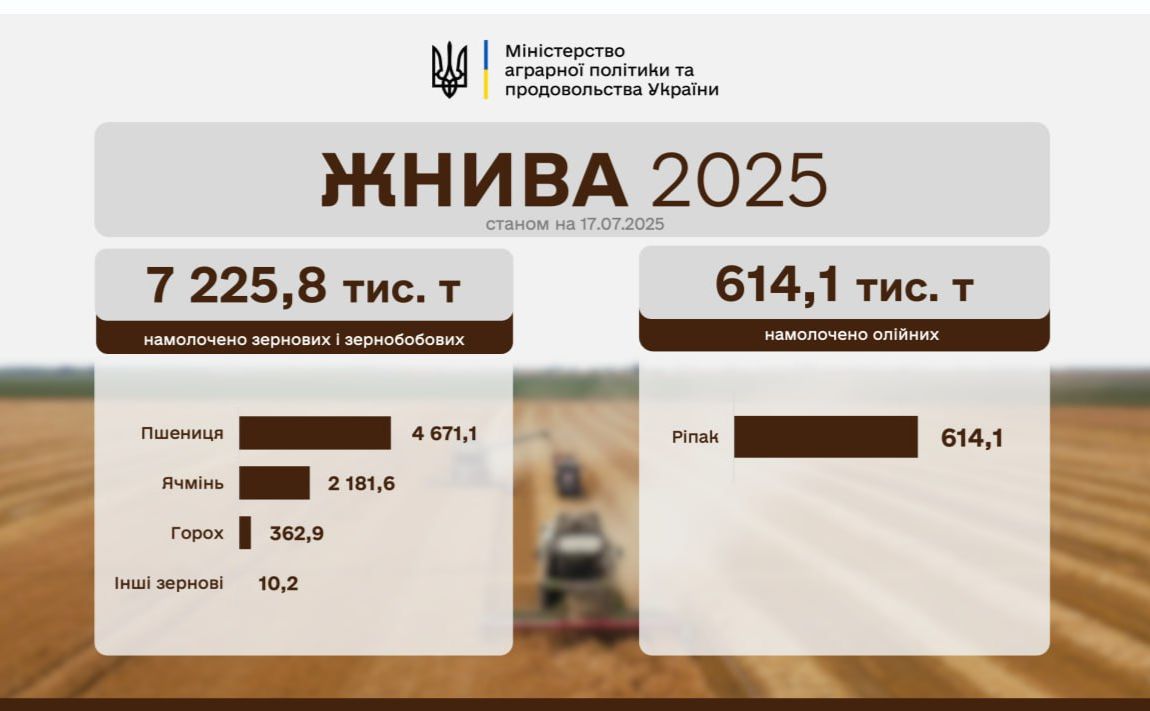 В Україні триває збір зернових та зернобобових культур