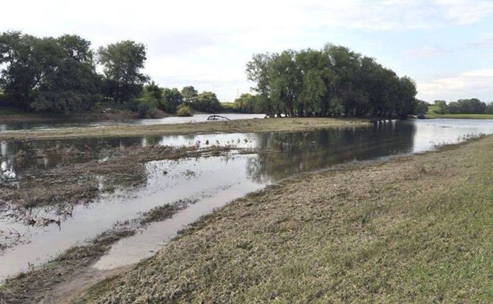 На річках Полтавщини зафіксували аномально низький рівень води