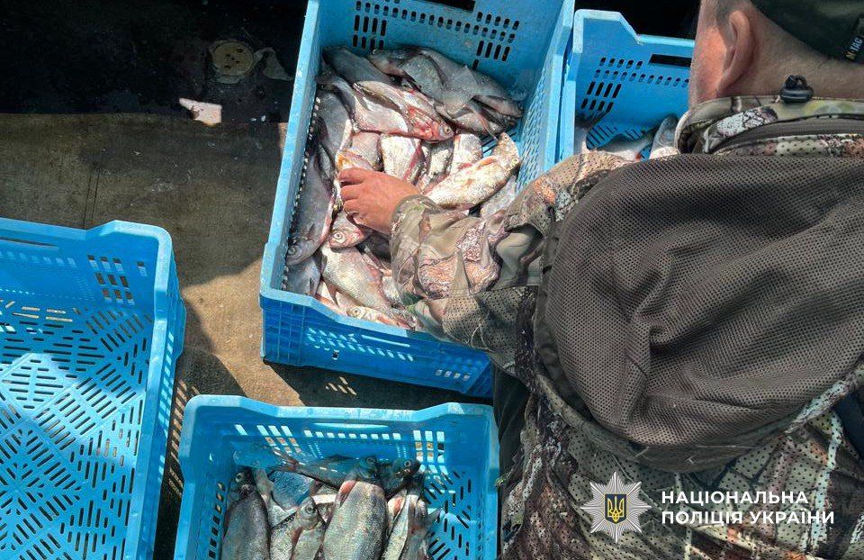 У Сулинському заказнику рибалили… промисловим судном