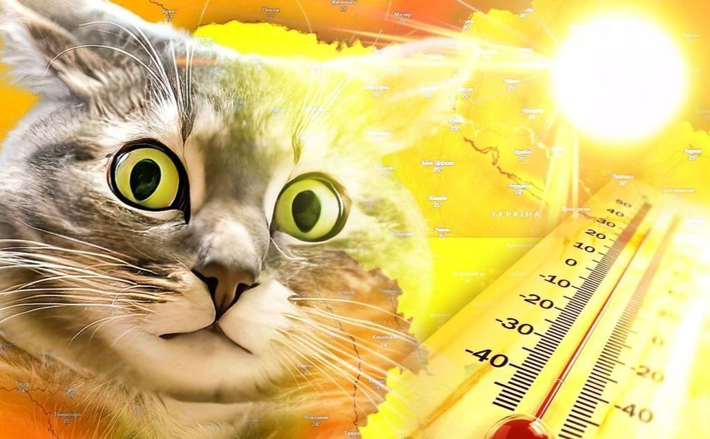 В Укргідрометцентрі розповіли, якою буде погода у серпні
