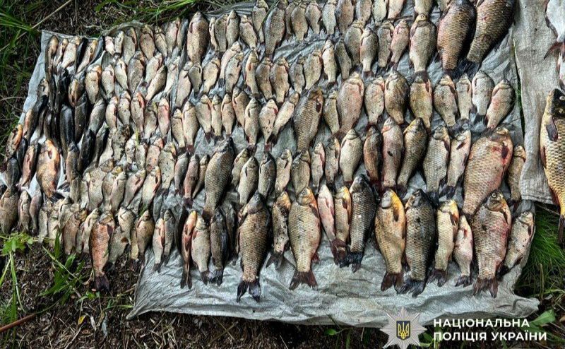 Браконьєр у Національному парку «Нижньосульський» наловив 50 кг риби