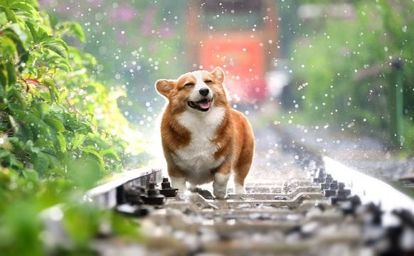 Сьогодні пройдуть короткочасні дощі та грози
