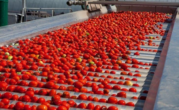 Через війну Україна втратила підприємства з переробки томатів