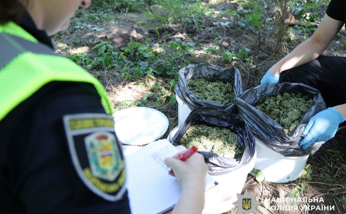 На Полтавщині викрили організовану наркогрупу