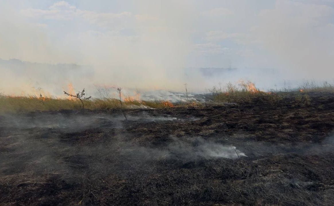 На Полтавщині четверту добу гасять торфовища