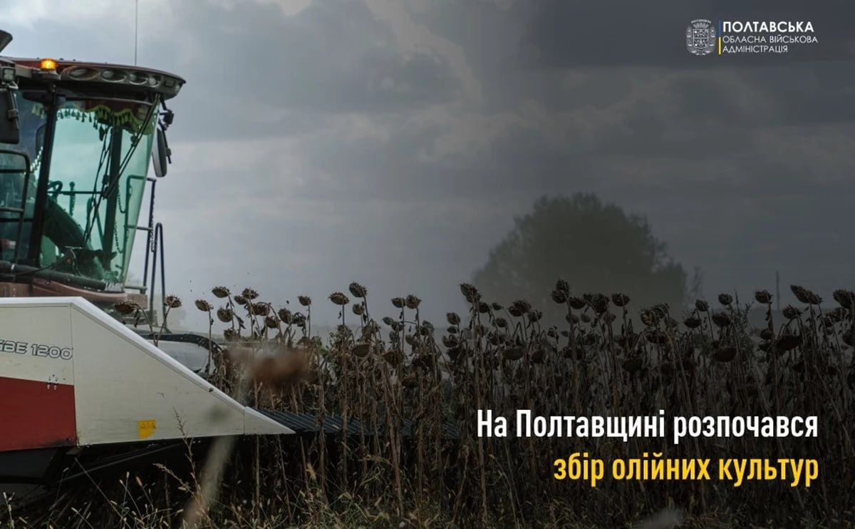 Аграрії Полтавщини збирають олійні культури