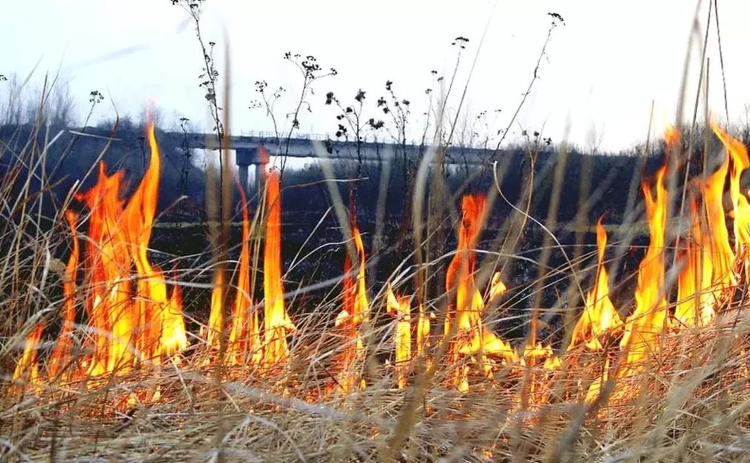 Жителів Полтавщини закликають не палити сухостій