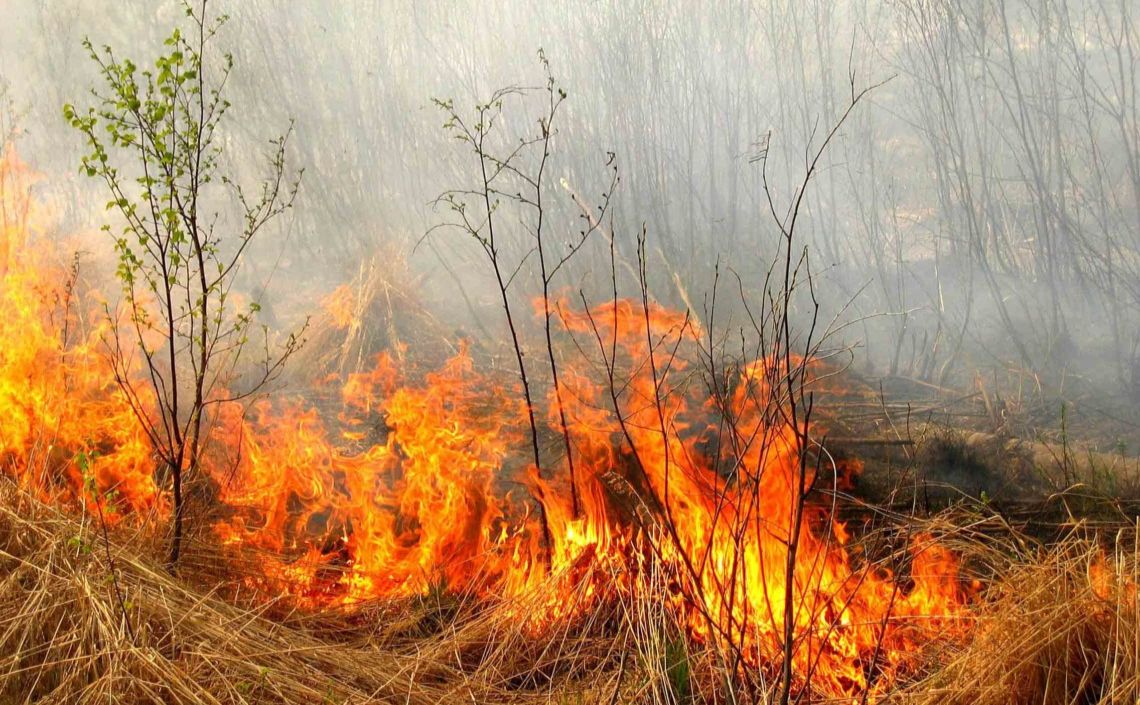 На Полтавщині оголошено надзвичайний рівень пожежної небезпеки