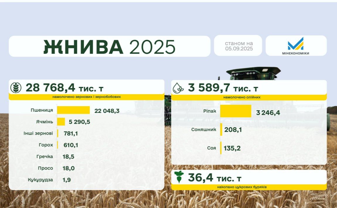 Україна зібрала майже 29 млн тонн зерна нового врожаю