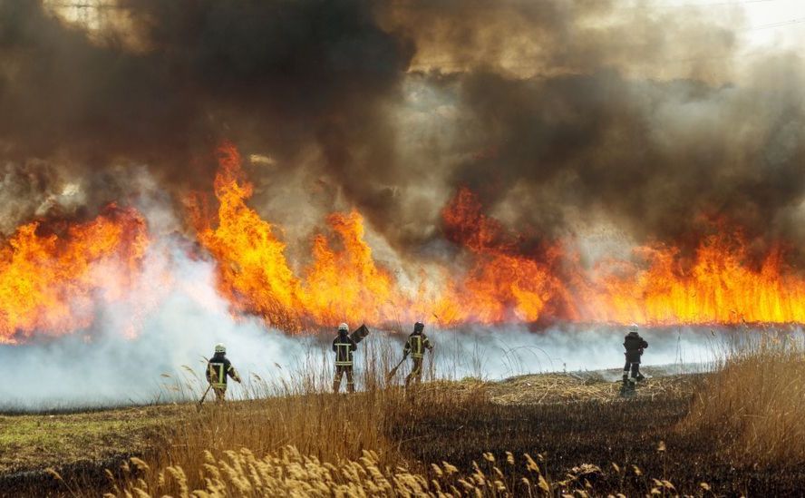 На Полтавщині з початку року зафіксували з десяток торф’яних пожеж