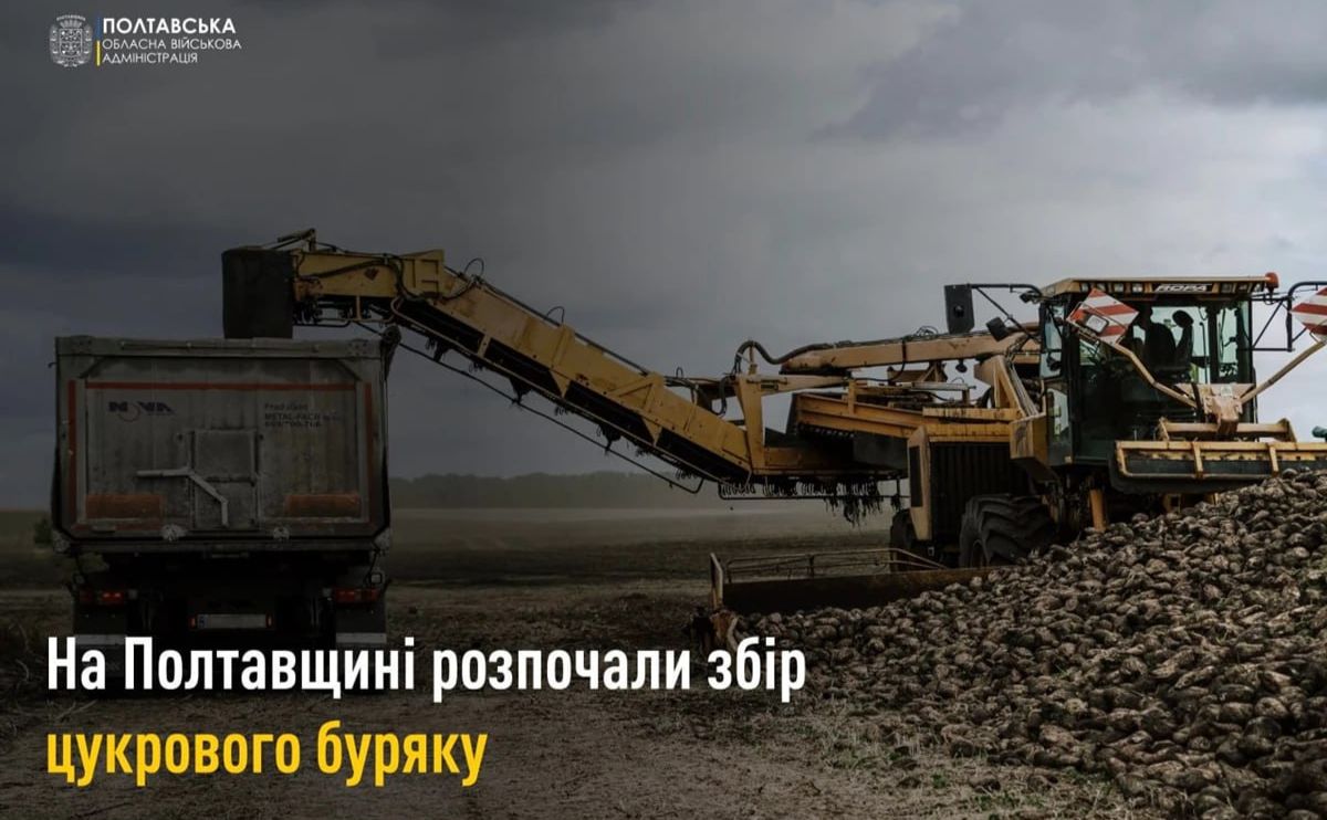 Аграрії Полтавщини вже зібрали 20,7 тис. тонн цукрового буряку