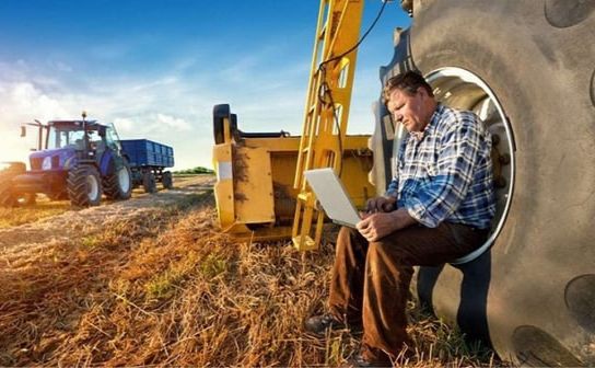 В Україні знову приймають заявки від агропідприємств на статус критично важливих