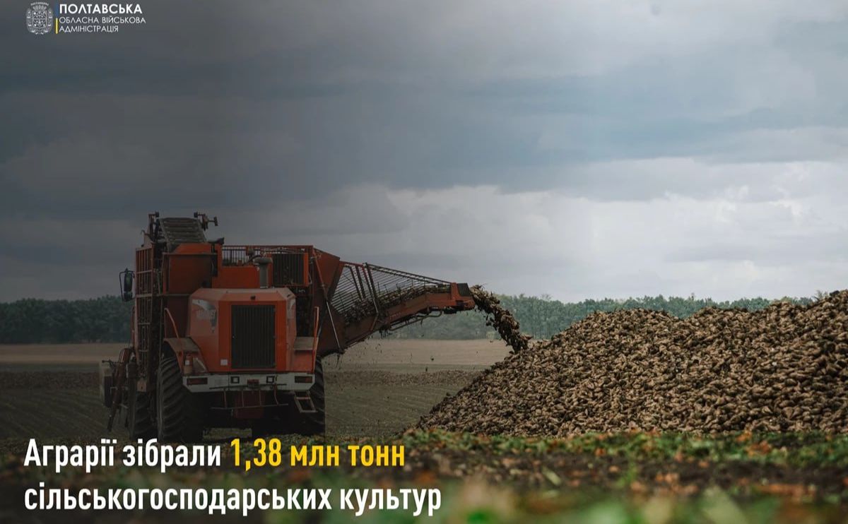 Аграрії Полтавщини вже зібрали 85,2 тис. тонн цукрового буряку