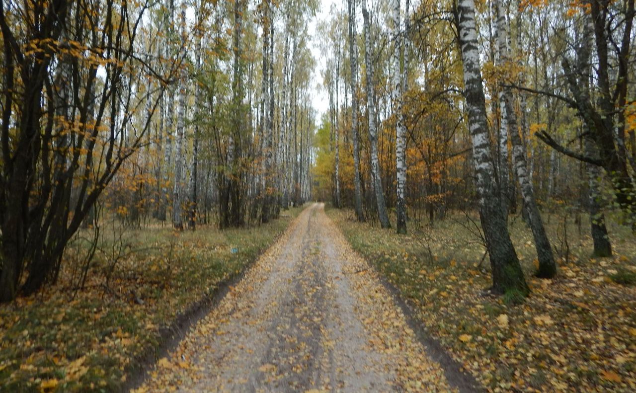 У вівторок — без опадів
